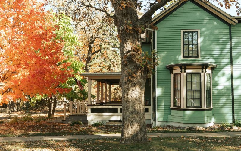 a fall tree next to a suburban home